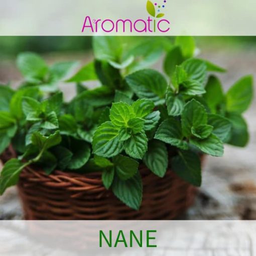 aromatic nane aroma