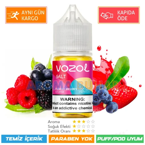 Vazol Likit Forest Berry Storm Salt