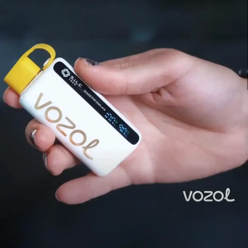 vozol 12000 özellikler